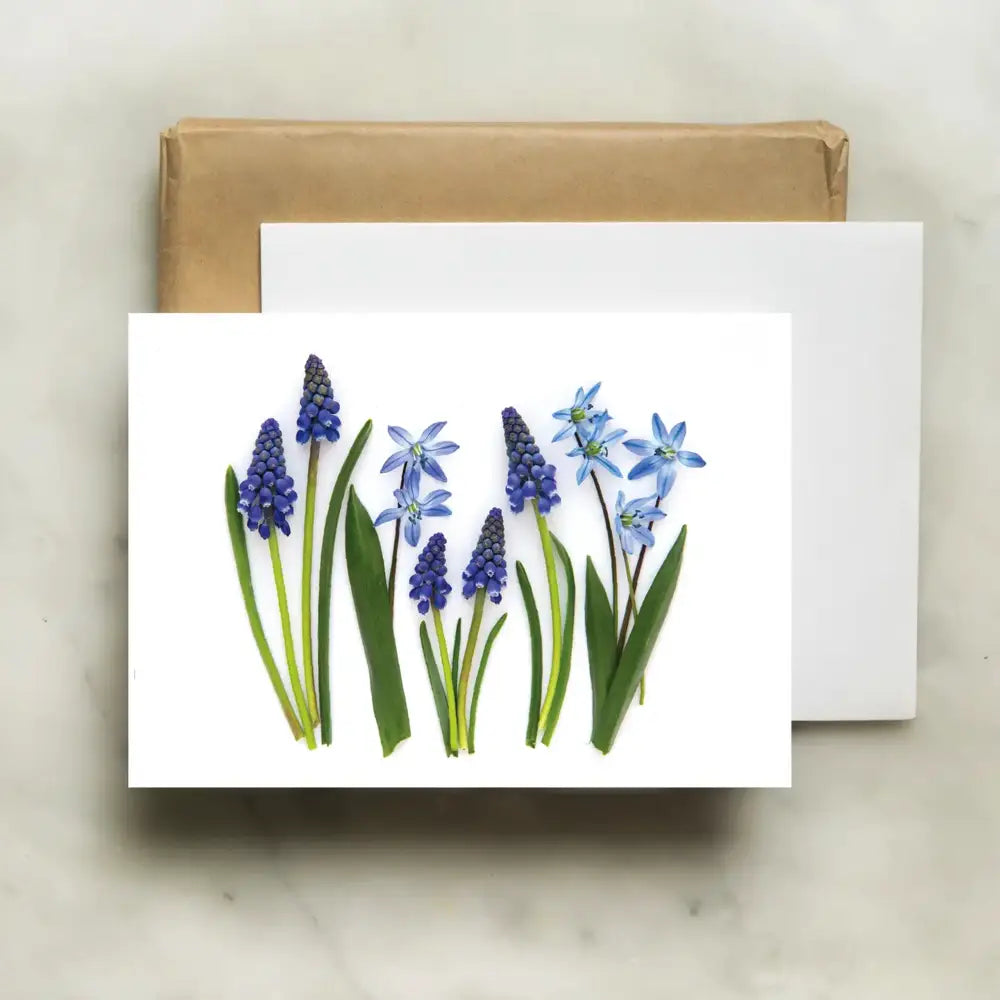 bottle branch botanical card - blue spring flowers