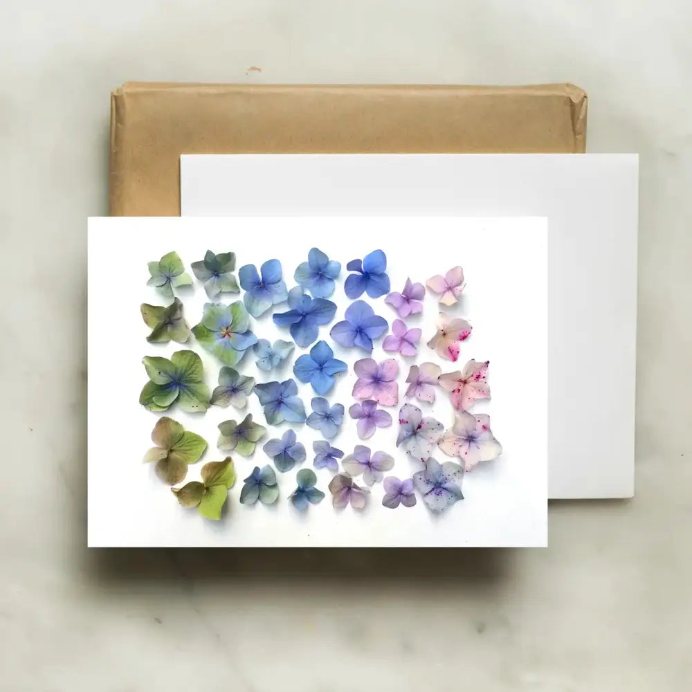 bottle branch botanical card - hydrangea ombre