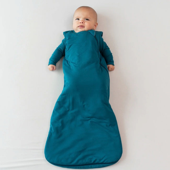 Kyte Baby Sleep retailer Sack in Succulent