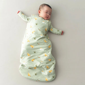 Kyte Baby 1.0 Tog Sleep Bag in Aloe Chick