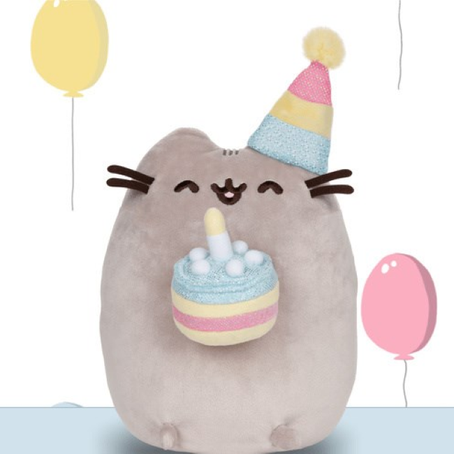 Pusheen party sales hat